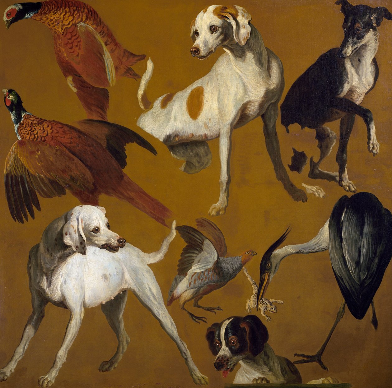 Studie af fugle og hunde, af Alexandre-Francois Desportes (1661-1743), Frankrig af Alexandre Francois Desportes