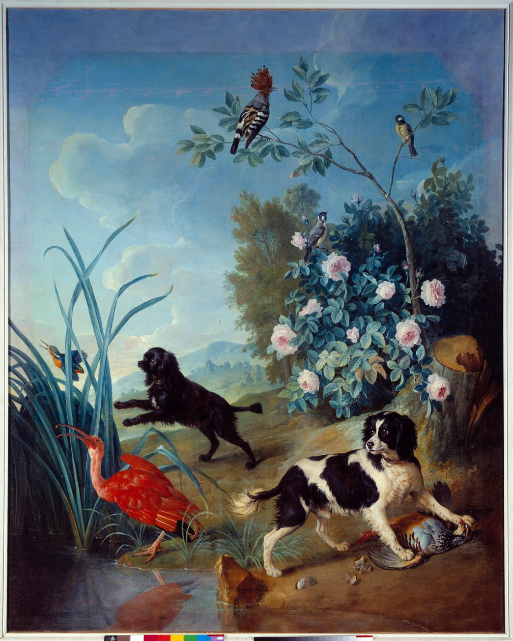 Zerbine og Jemite, Kong Ludvig XIVs hunde Maleri af Francois Desportes (1661-1743) 1739 Compiegne, Musee national du chateau af Alexandre Francois Desportes