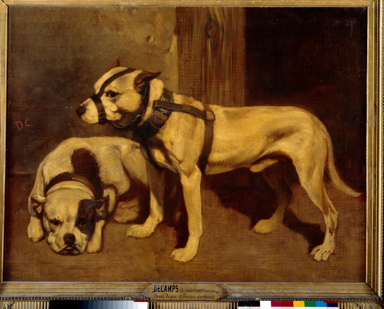 Scottish Bulldog and Terrier Bad Dog with muzzle. Painting by Alexandre Gabriel Decampsdani af Alexandre Gabriel Decamps