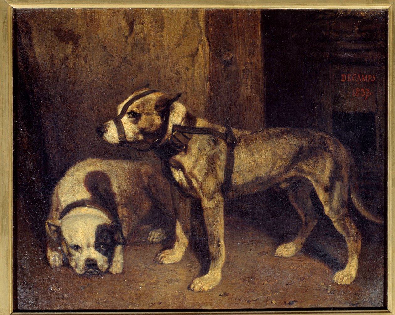 Skotsk bulldog og terrier maleri af Alexandre Gabriel Decamps (1803-1860) 1800-tallets søn. 1,04x1,34 m af Alexandre Gabriel Decamps