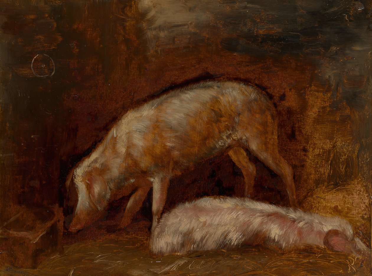 Studie af svin, 185060. af Alexandre Gabriel Decamps