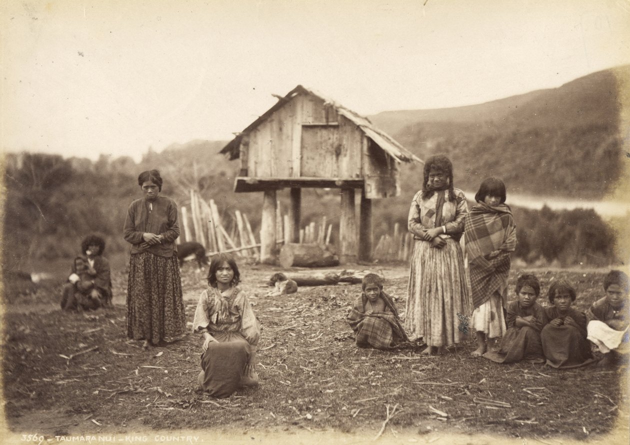 Taumarunui - King Country, 29. maj 1885 (albumin print) af Alfred Burton