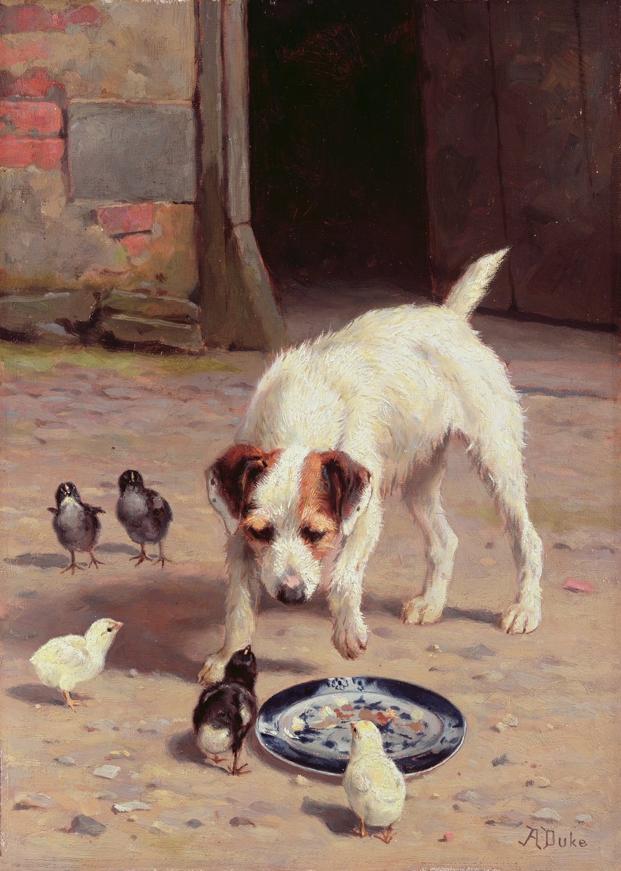 Konfrontation af Alfred Duke