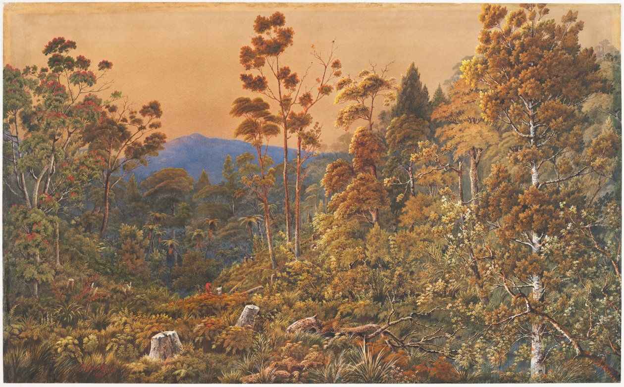 En gylden aften, Waiheke Island af Alfred Sharpe