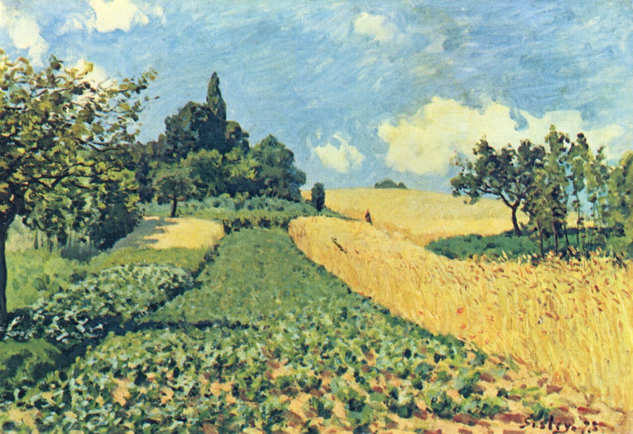 Kornmarker på Argenteuil -bakkerne af Alfred Sisley