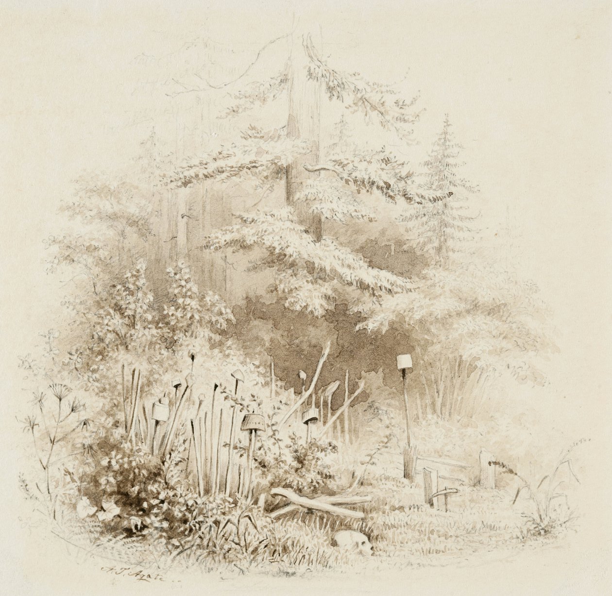 Indian Burial Place, Oregon, 1841 (børste og brun vask, med grafit, på cremevævet papir) af Alfred Thomas Agate