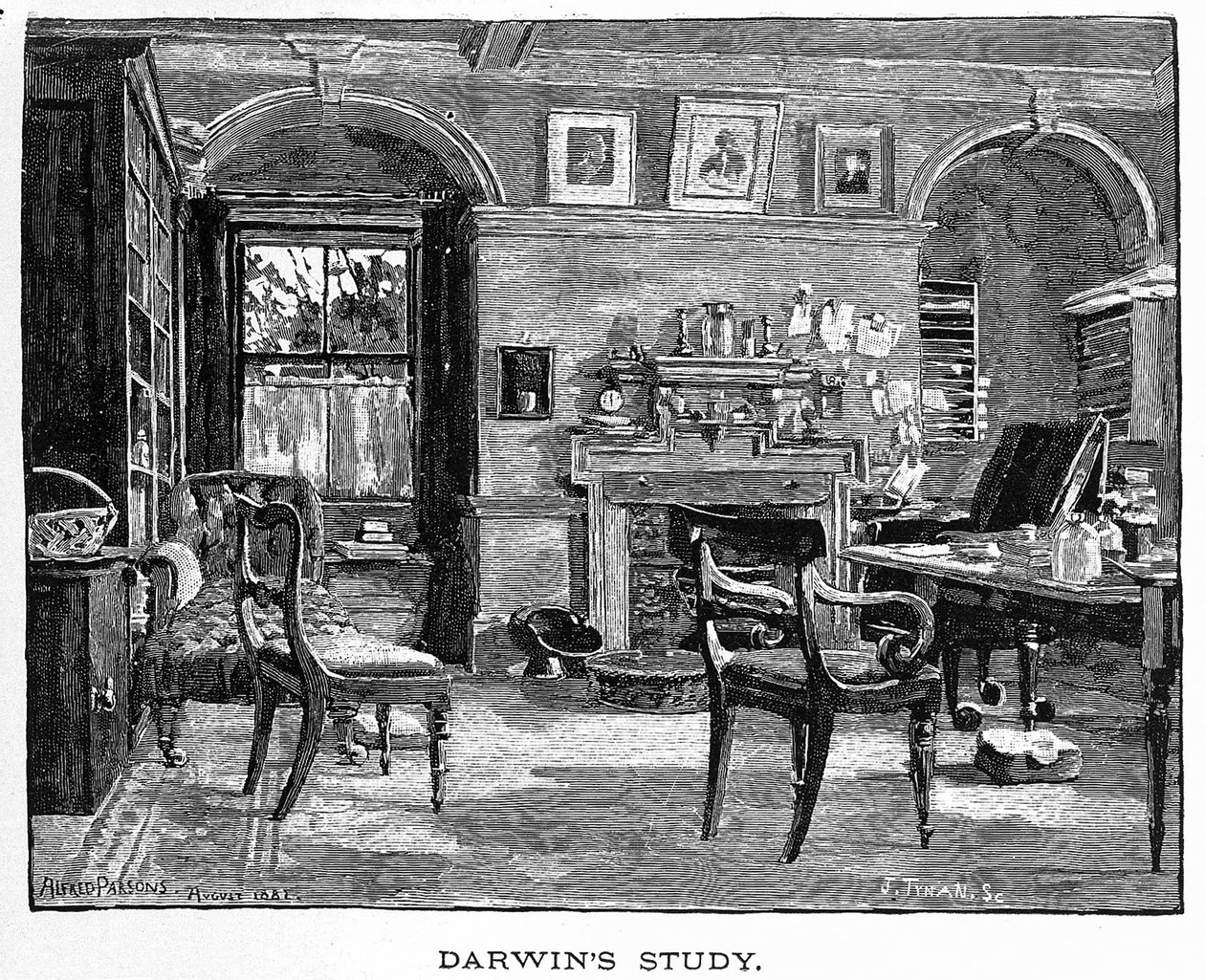Darwins undersøgelse fra Charles Darwin, hans liv og arbejde, pub. 1891 (trægravering) af Alfred (after) Parsons