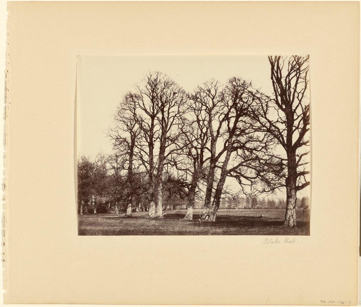Blake Hall af Alfred Capel Cure