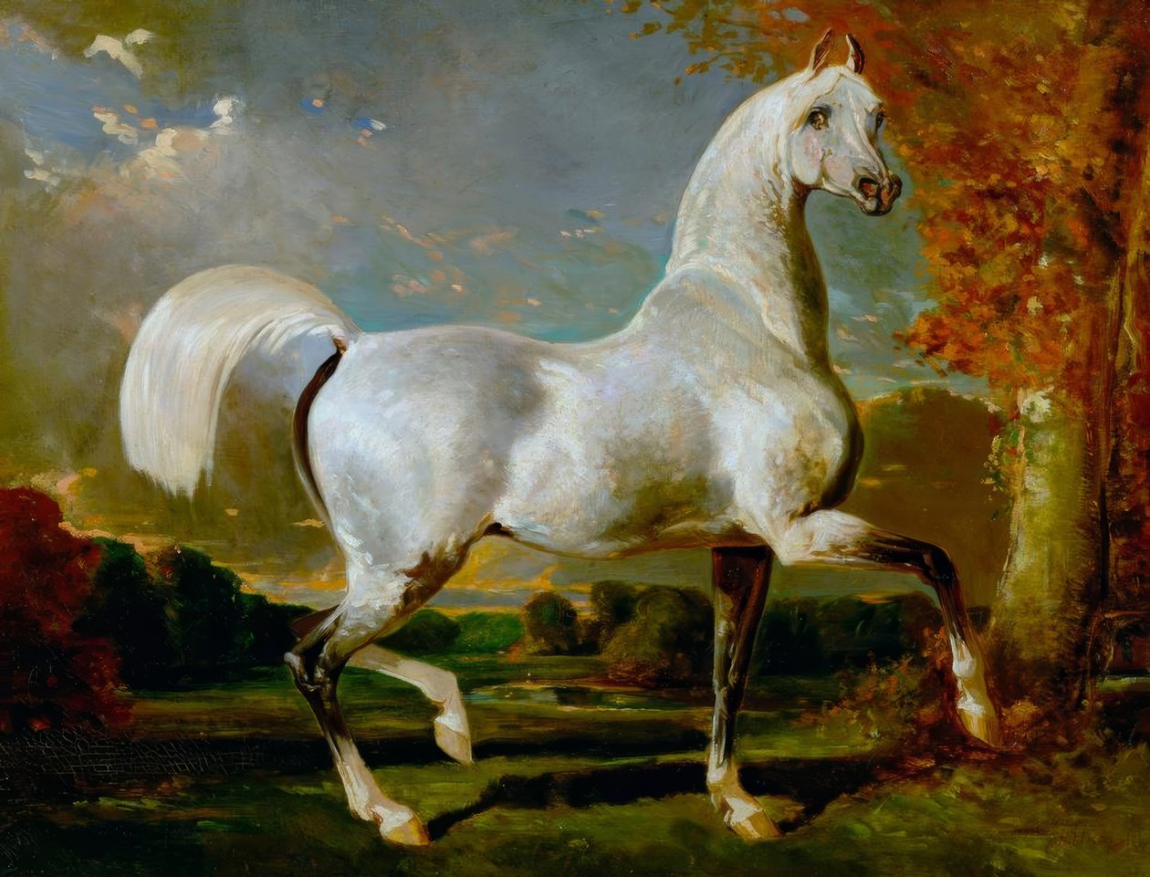 Arabisk hingst af Alfred Dedreux