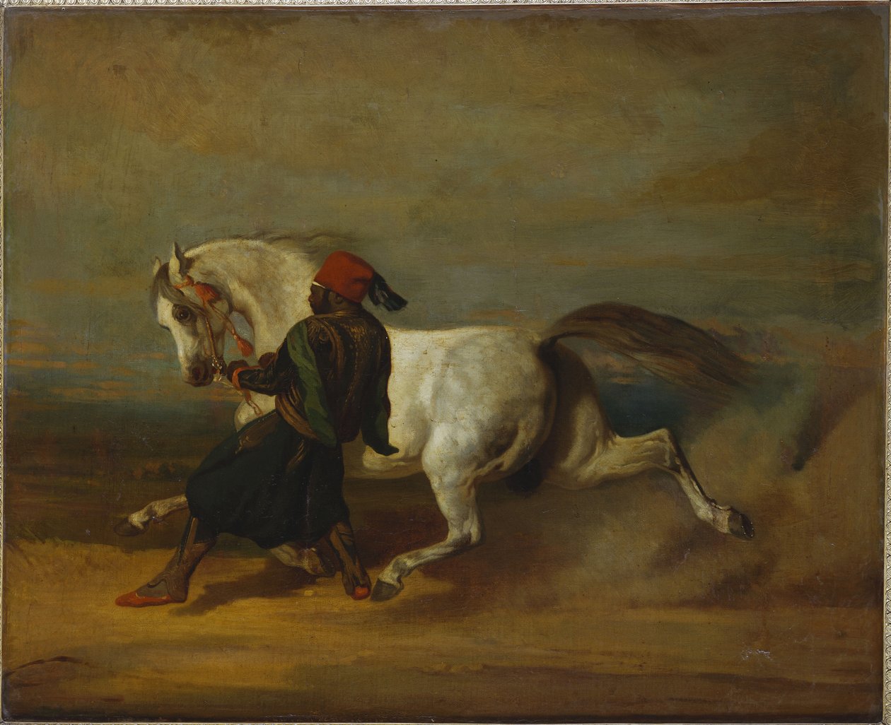 Pashaens stolthed af Alfred Dedreux