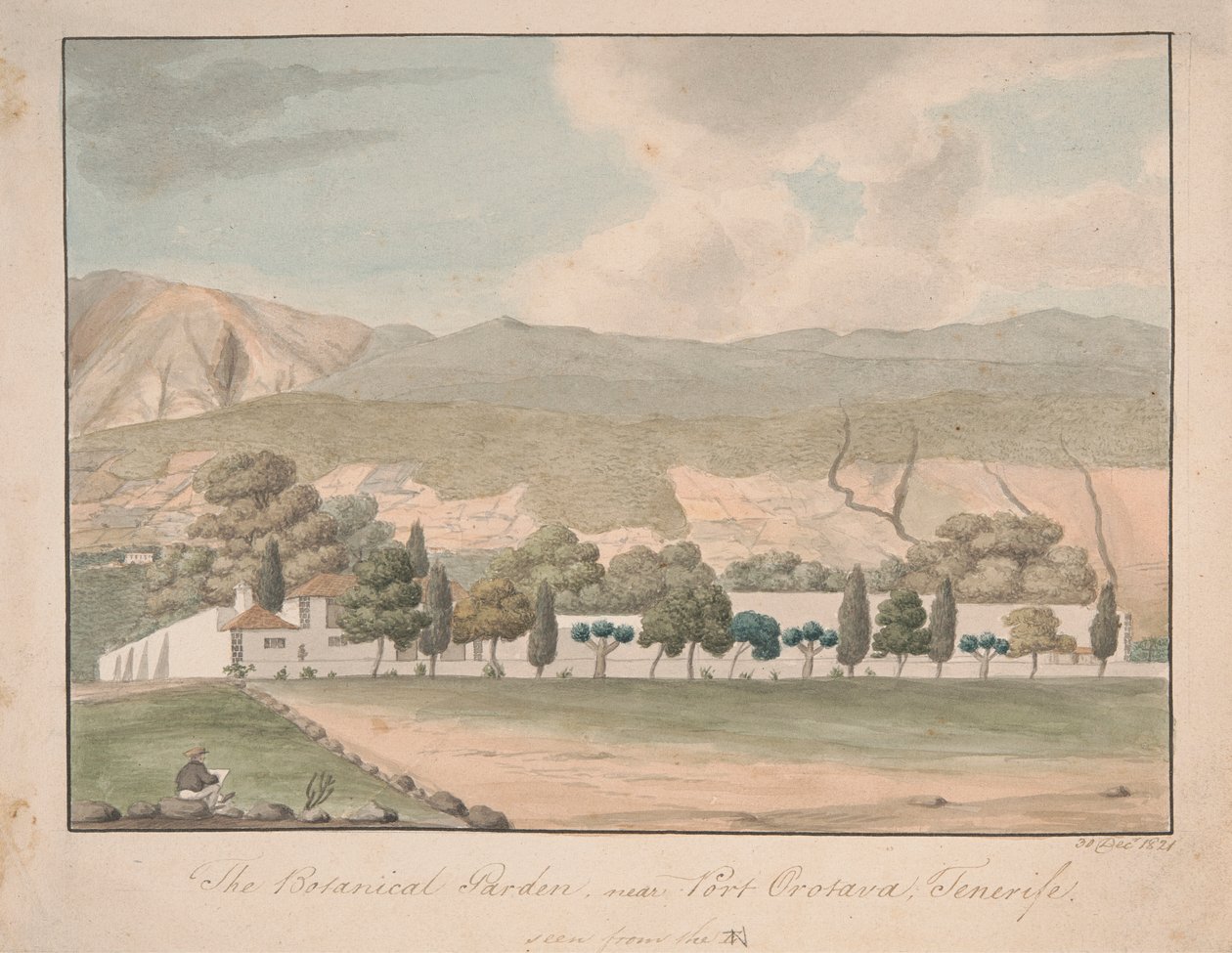 Den botaniske have nær Port Orotava, Tenerife af Alfred Diston