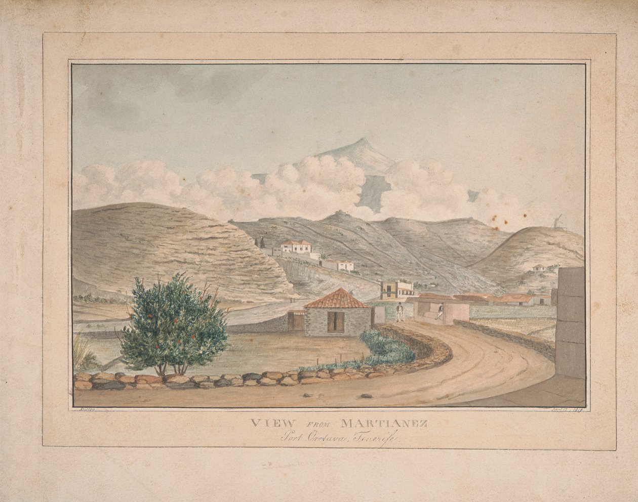 Udsigt fra Martianez, Port Orotava, Tenerife af Alfred Diston