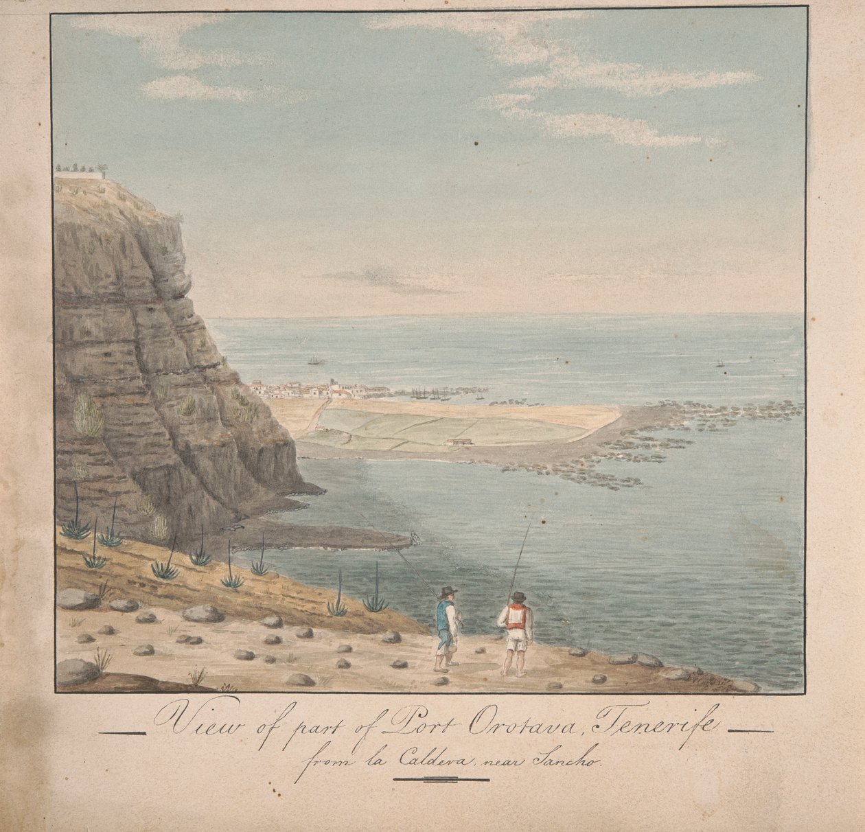 Udsigt fra en del af Port Orotava, Tenerife fra La Caldeva, nær Sancho af Alfred Diston
