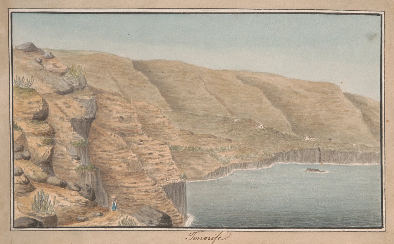 Udsigt over La Rambla de Castro nær Port Orotava, Tenerife af Alfred Diston