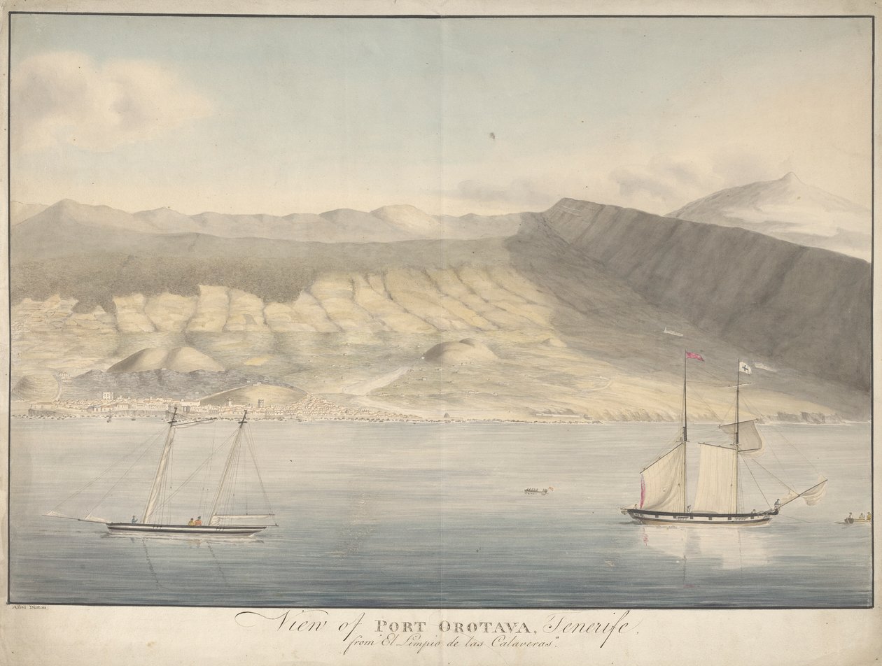Udsigt over Port Orotava, Tenerife, fra El Limpio de Las Calaveras af Alfred Diston