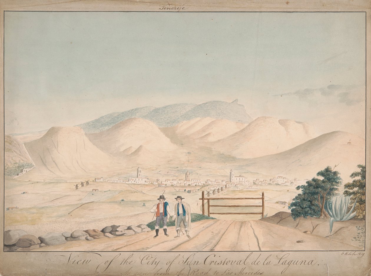 Udsigt over byen San Cristoval de la Laguna set fra vejen til Las Mercedes af Alfred Diston