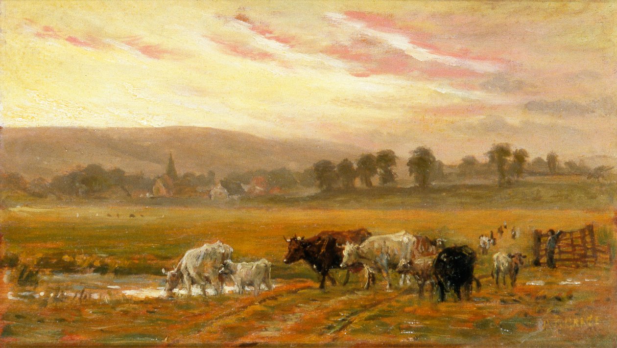 Solnedgang nær Amberley (olie på lærred) af Alfred Fitzwalter Grace
