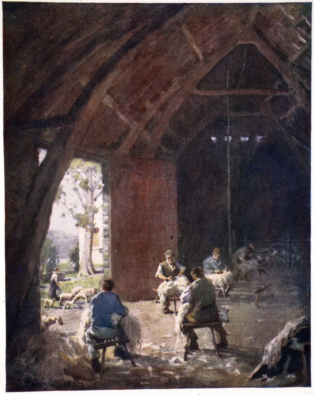 Fåreklipping, Esthwaite Hall Farm, fra en portefølje af tryk fra de originale akvareller, ca. 1920 af Alfred Heaton Cooper