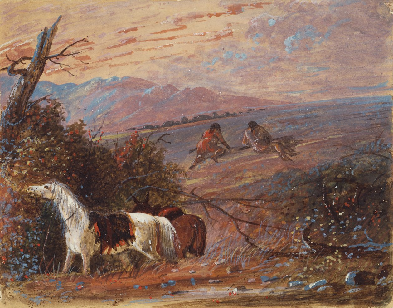Nærmer sig Buffalo, c.1858 (akvarel og gouache på papir) af Alfred Jacob Miller