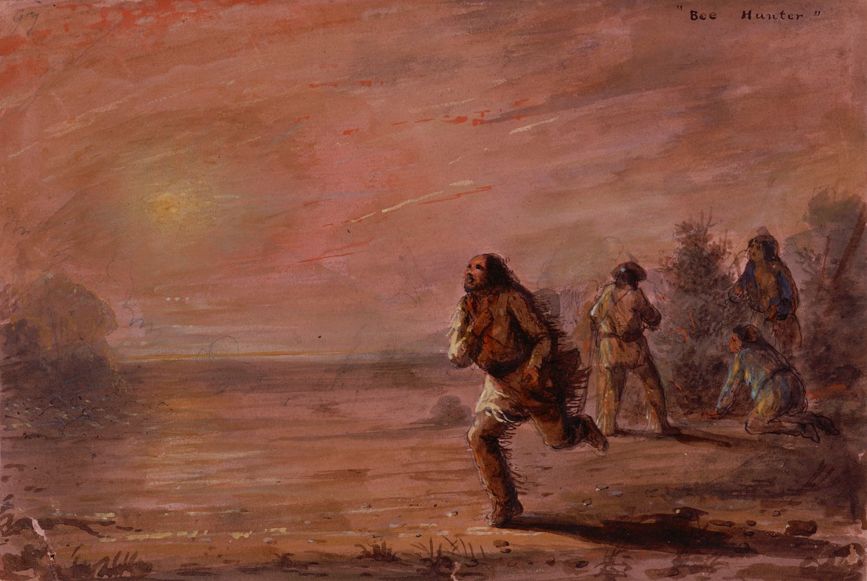 Bee Hunters, ca. 1837 (olie på papir) af Alfred Jacob Miller