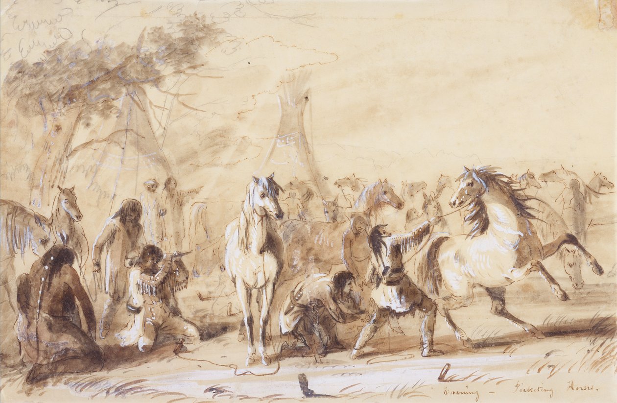 Evening, Picketing Horses, ca. 1837 (blyant, vask og gouache på papir) af Alfred Jacob Miller