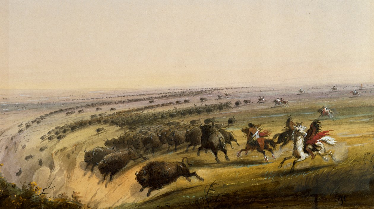 Bisonjagt af Alfred Jacob Miller