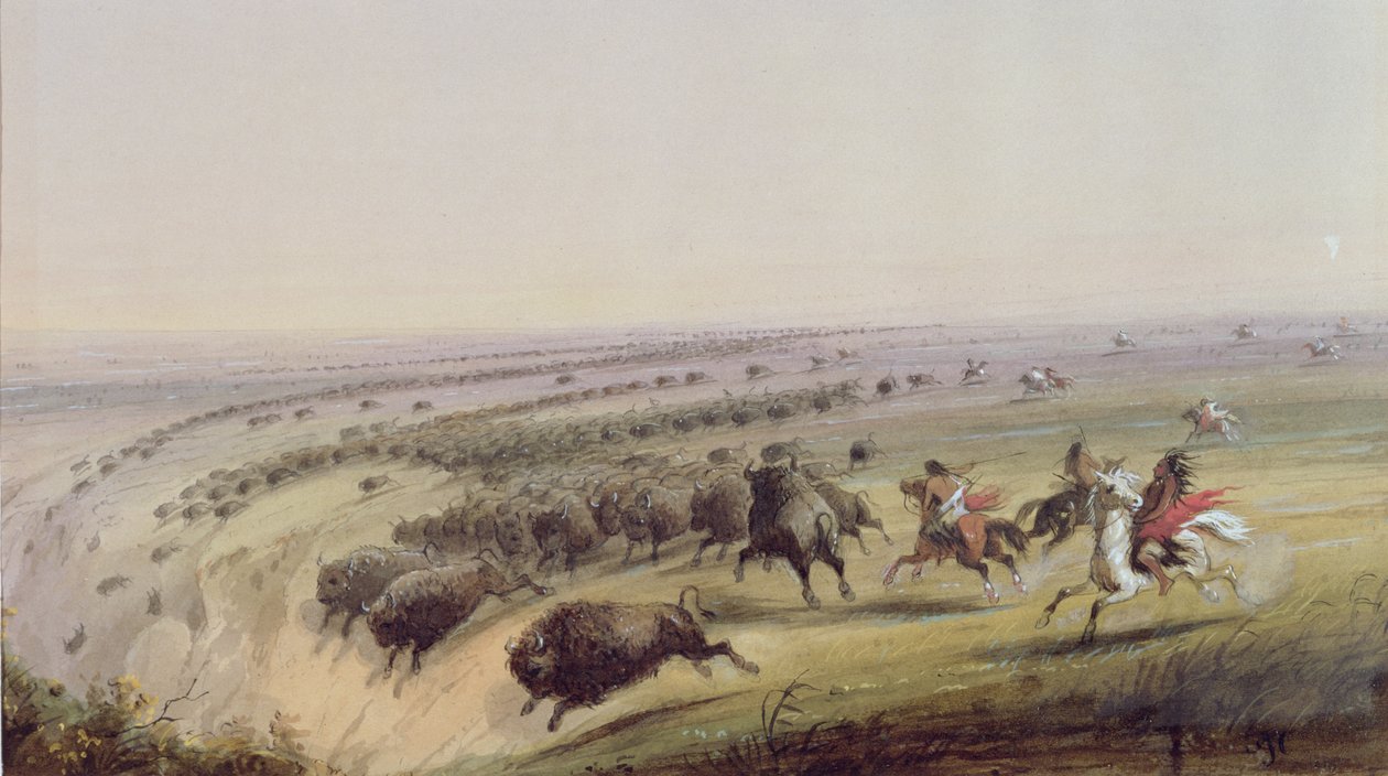 Jagtbøffel, 1837 af Alfred Jacob Miller