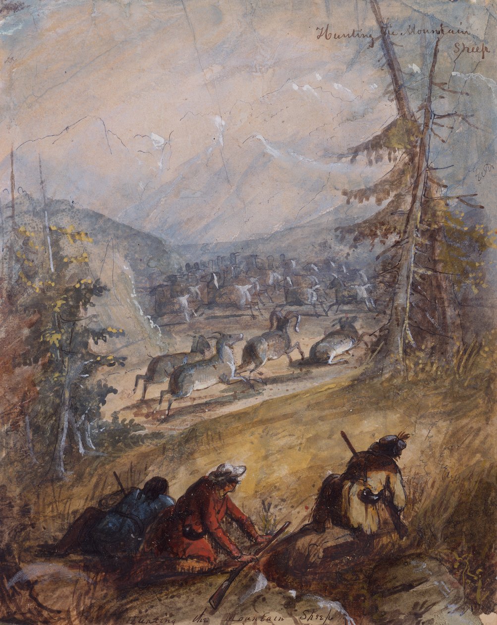 Jagt bjergfåret, ca. 1837 (blyant, pen og blæk, akvarel og gouache på papir) af Alfred Jacob Miller