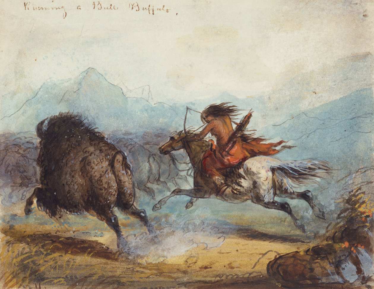 Indisk kvinde Running a Buffalo, ca. 1858-60 (akvarel på papir) af Alfred Jacob Miller