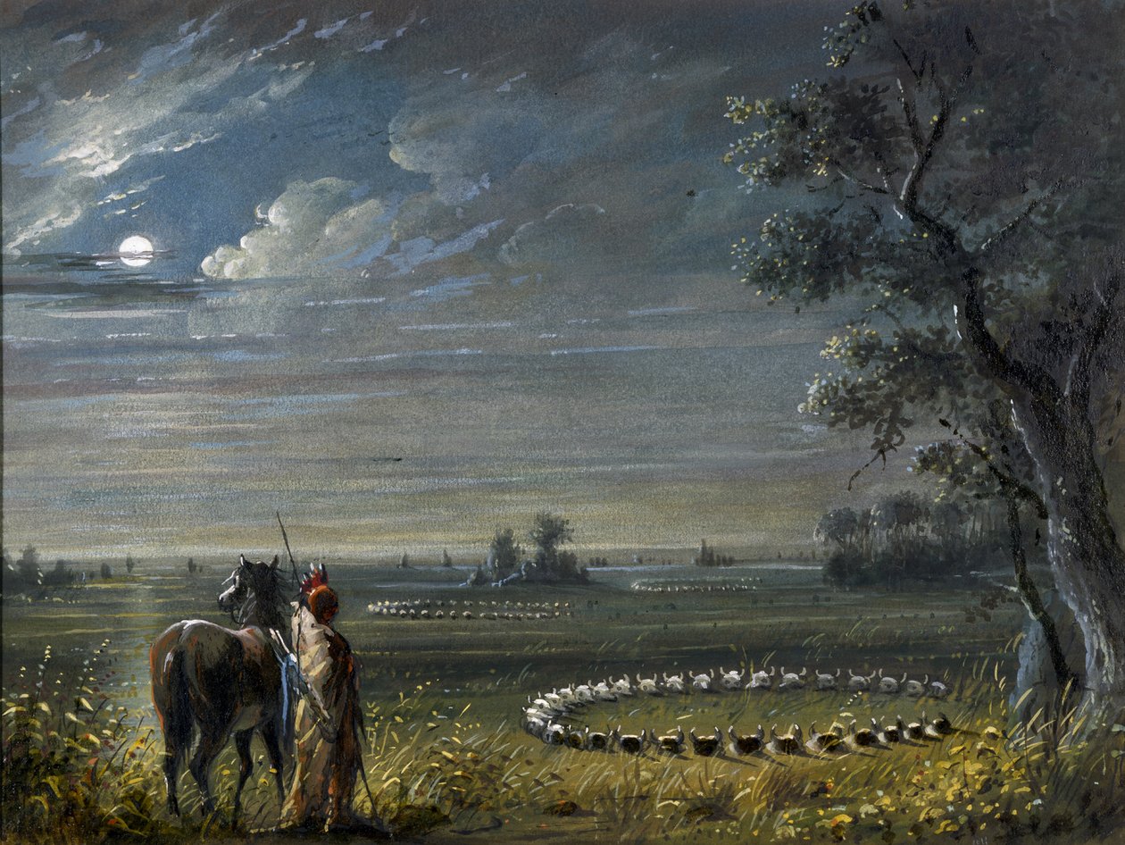 Medisincirkler af Alfred Jacob Miller