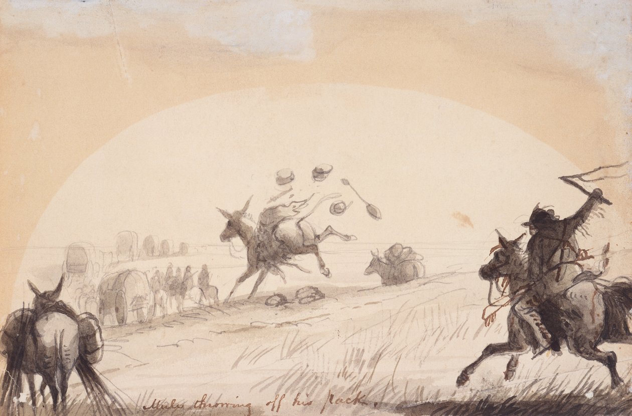 Mule kaster sin pakke af, ca. 1837 (blyant, pen og blæk og vask på papir) af Alfred Jacob Miller