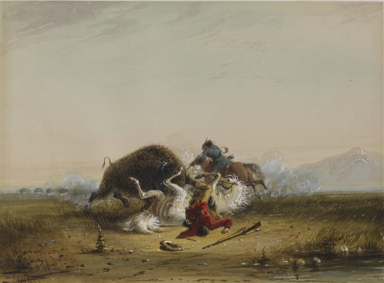 Pierre og bøflen af Alfred Jacob Miller