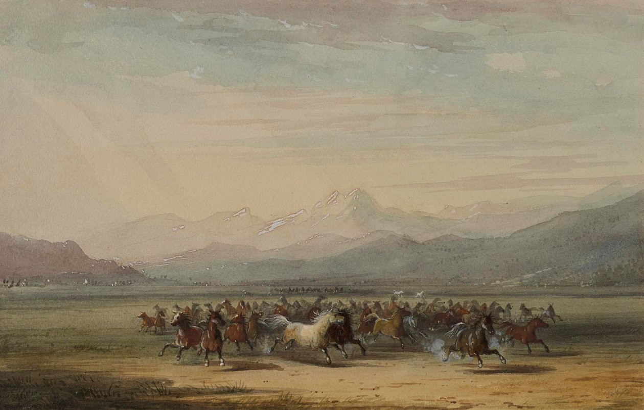 Stampede af vilde heste af Alfred Jacob Miller