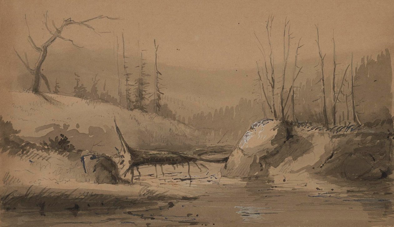 Bæk med et væltet træ af Alfred Jacob Miller