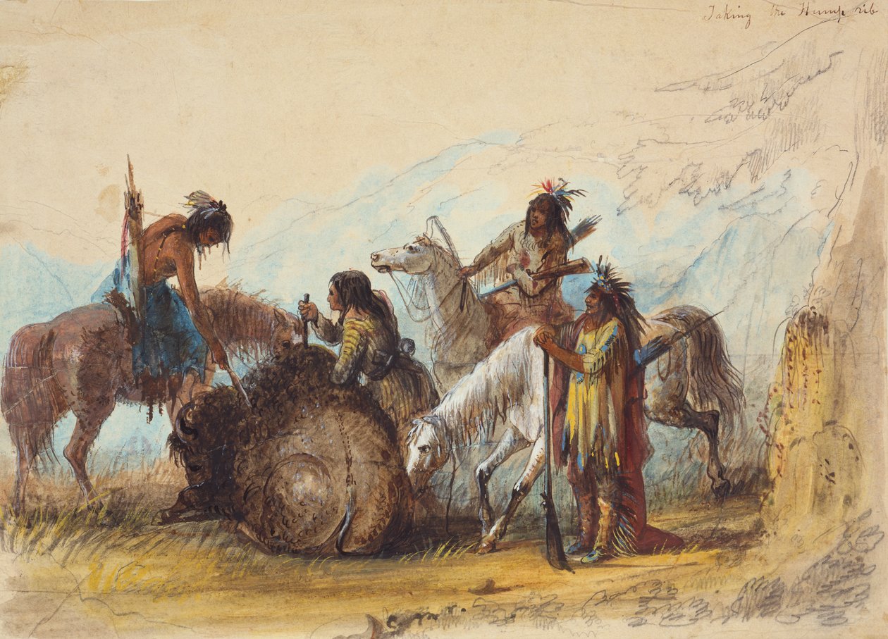 Taking the Hump Rib, ca. 1858 (blyant, akvarel og gouache på papir) af Alfred Jacob Miller