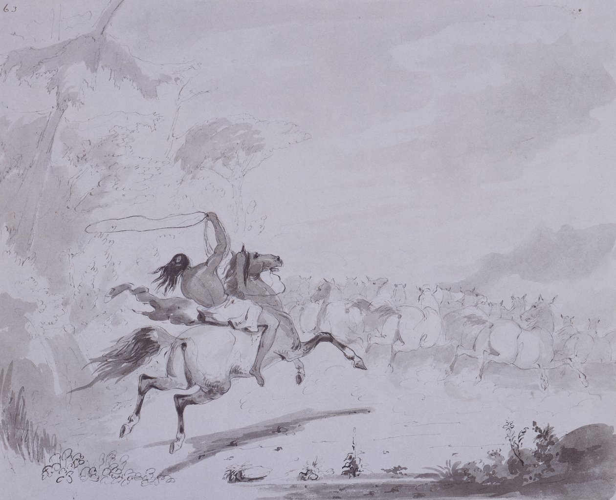 Kaster lasso, ca. 1837 (pen og blæk med grå vask på gråt kort) af Alfred Jacob Miller