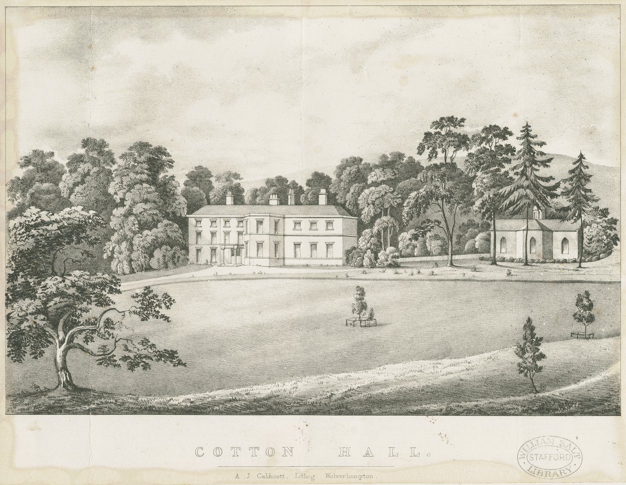 Cotton - Hall: lithograph, and [19th century] dani af Alfred Jolly Caldicott