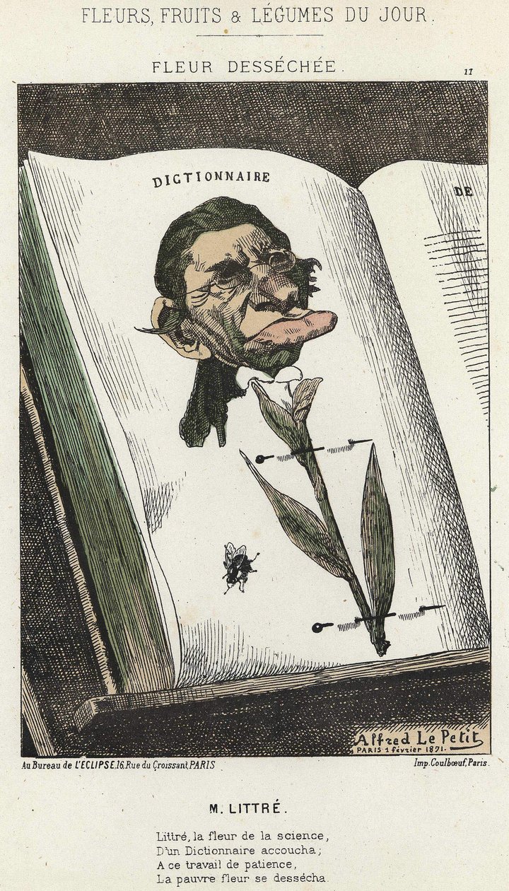Déséchée flower: tegneserie om Littré - ill. fra 01/02/1871 i "Dagens blomster, frugter og grøntsager" af Alfred Le Petit