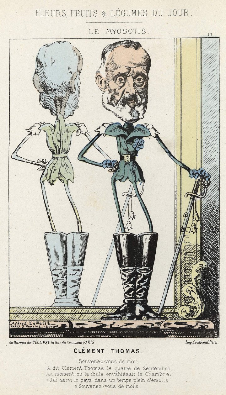 Le Myosotis: karikatur om Clément Thomas - ill. fra 03/02/1871 i "Dagens blomster, frugter og grøntsager" af Alfred Le Petit