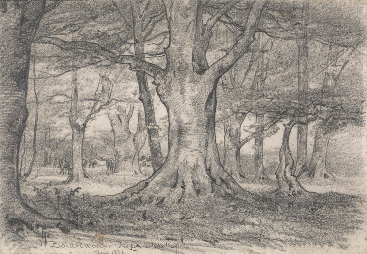 Et skovlandskab nær Boldrewood af Alfred Parsons