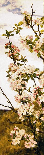 Æbleblomst, ca. 1880-86 (olie på panel) af Alfred Parsons