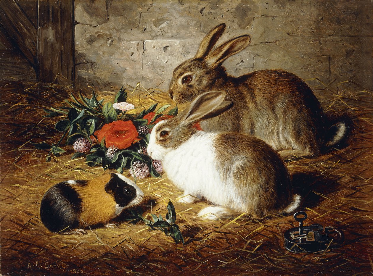 Undsluppet: To kaniner og marsvin, 1880 af Alfred R. Barber