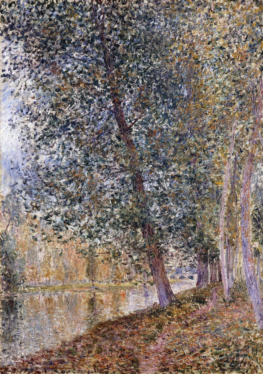 Efteråret, Loingens bredder; L"Autumne, Bords du Loing, 1880 af Alfred Sisley