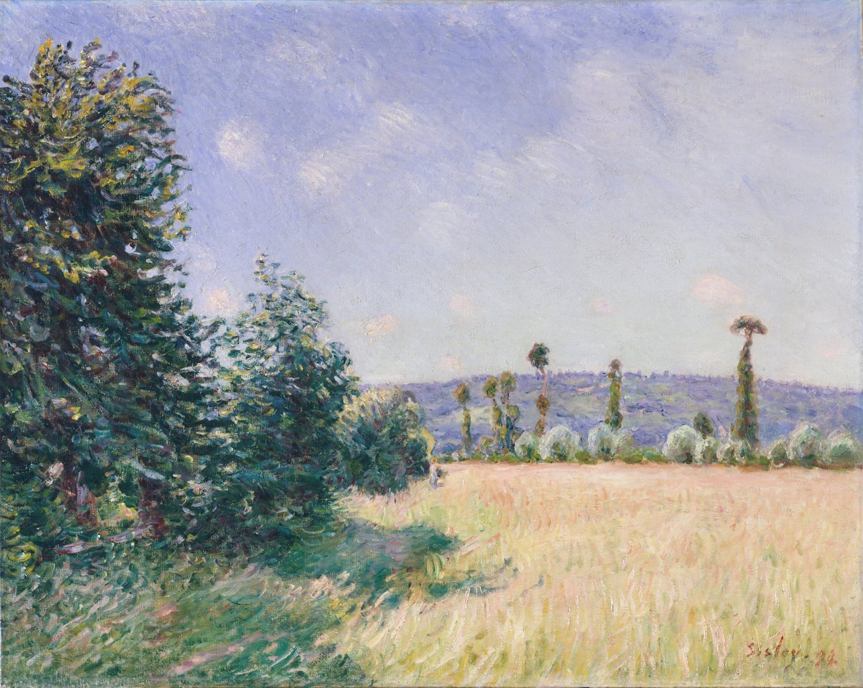 Sahurs Meadows in Morning Sun, 1894 af Alfred Sisley