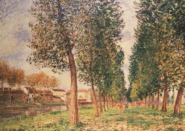 Poplar Avenue ved Moret, overskyet dag, morgen af Alfred Sisley