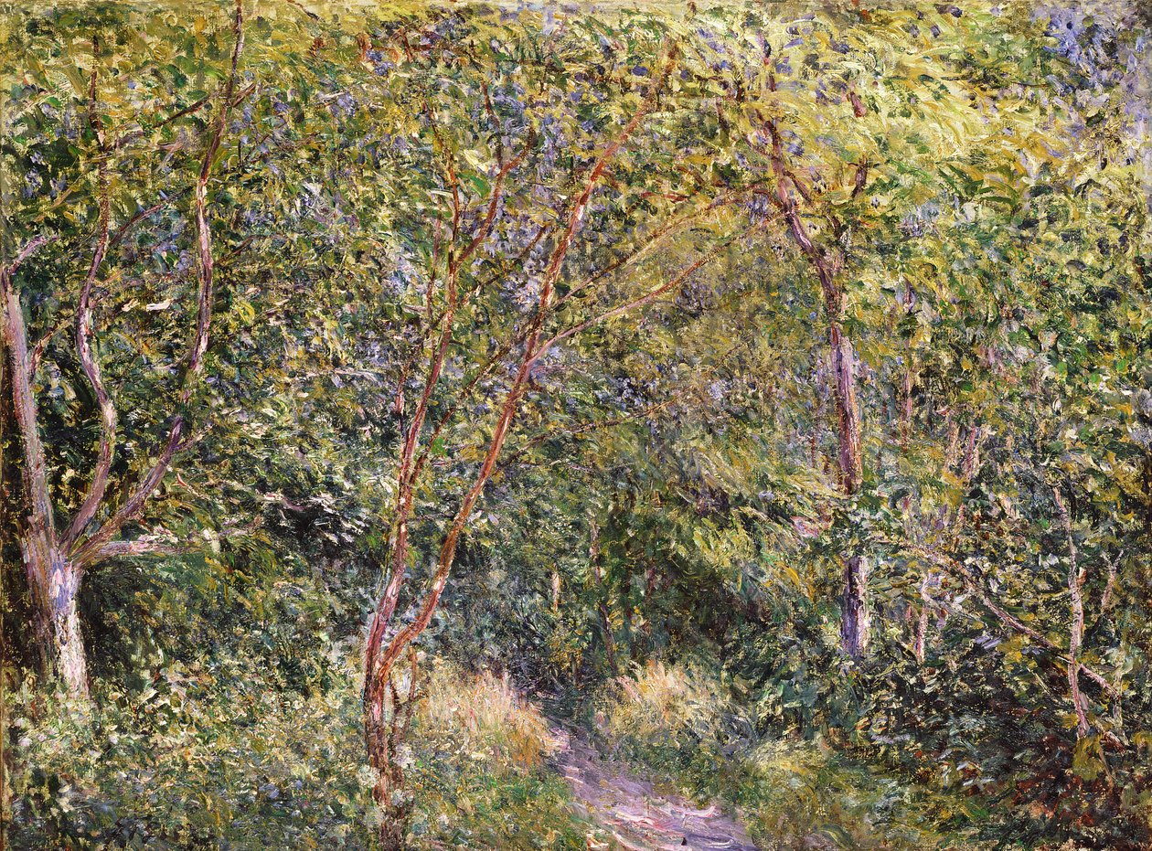 Ukendt billede af Alfred Sisley