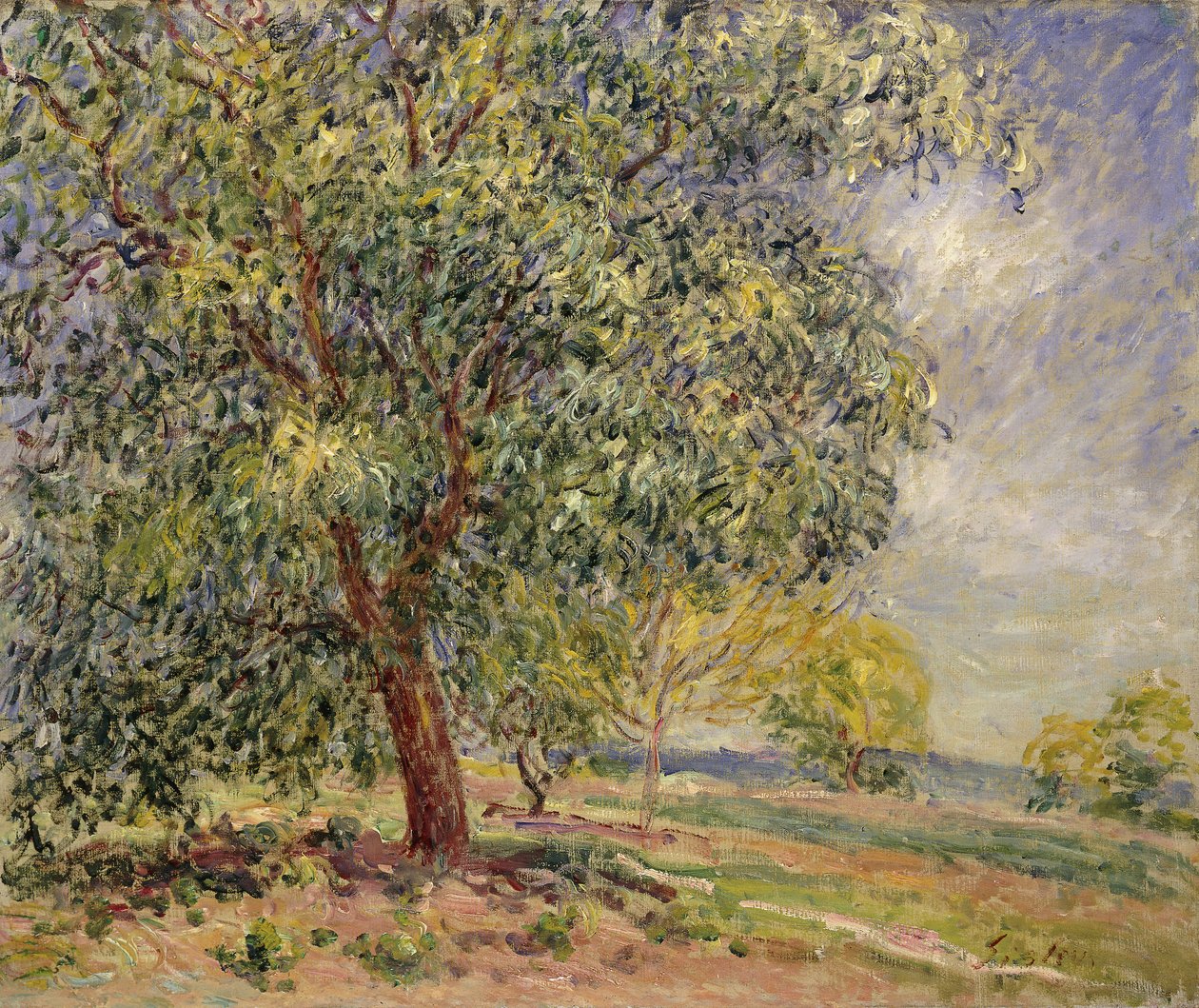 Valnøddetræ ved Sablons om foråret; Valnøddetræer ved Les Sablons, forår, 1885 af Alfred Sisley