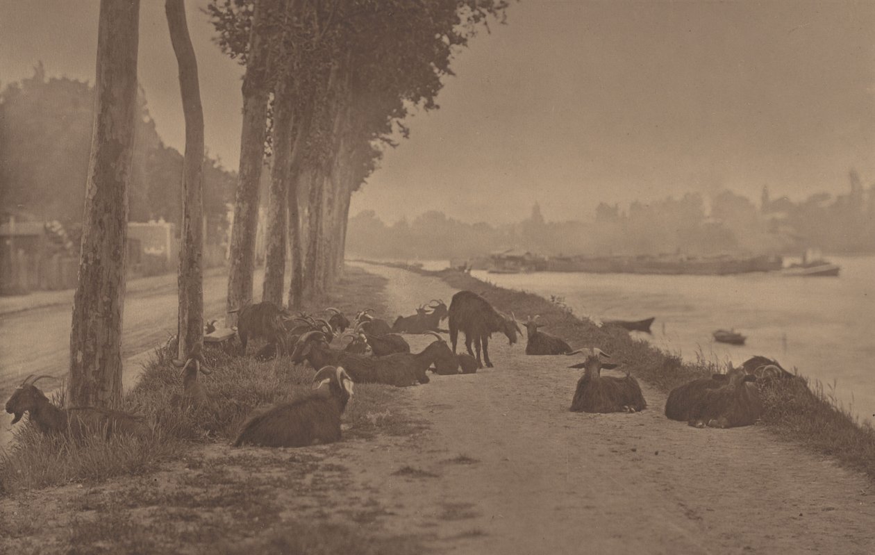 Et dekorativt panel af Alfred Stieglitz