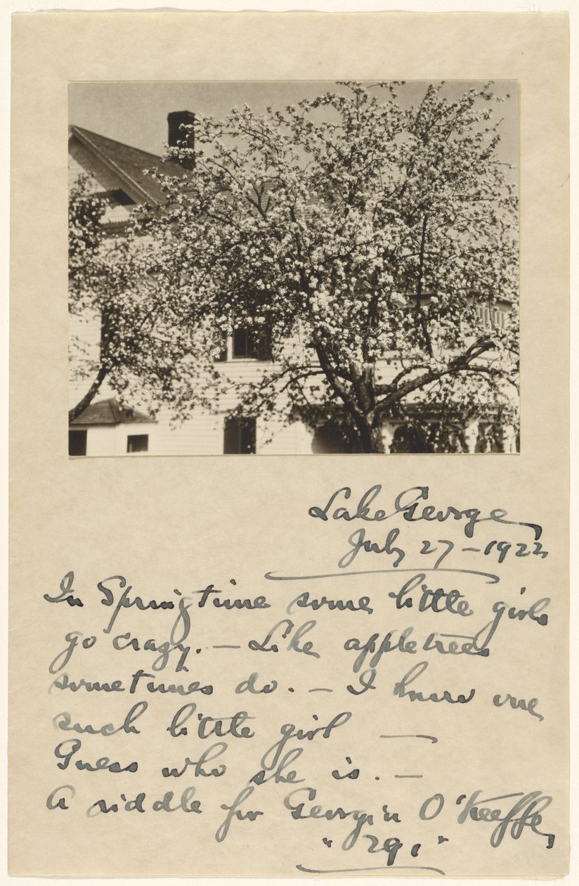 [Æbleblomster] af Alfred Stieglitz