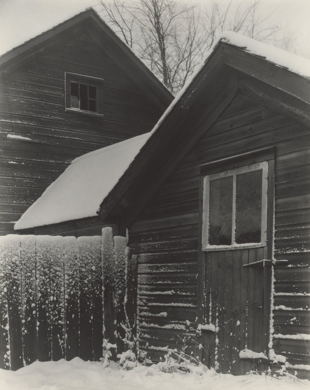 Børn  Sne af Alfred Stieglitz